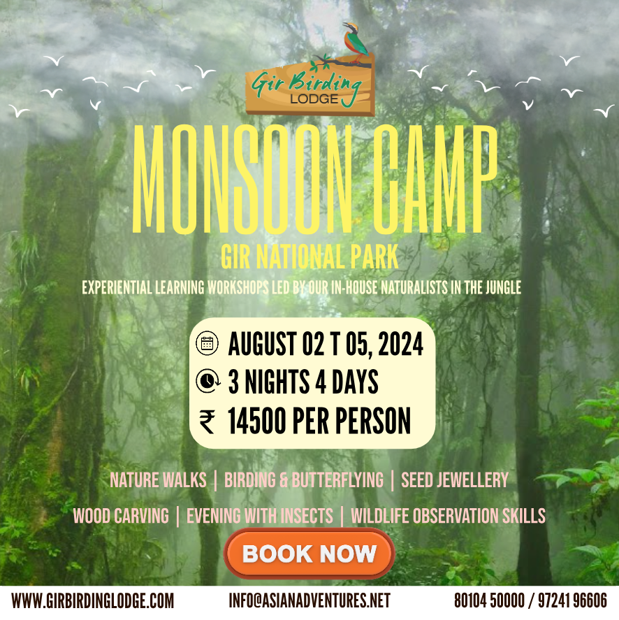 Monsoon-Camp